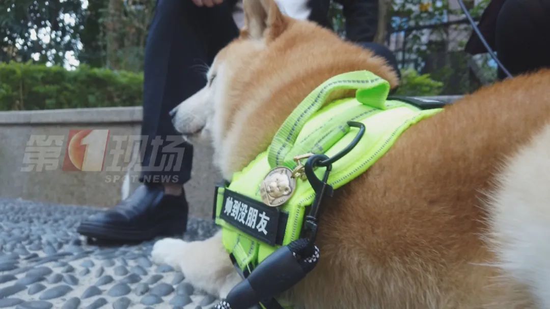 DƬ